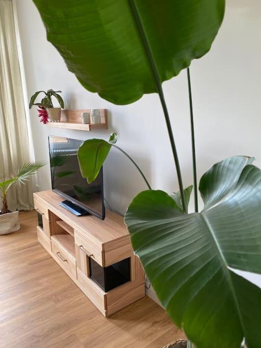 2-Zimmer Zentral In Ferdinandshof, Wlan Modern Εξωτερικό φωτογραφία