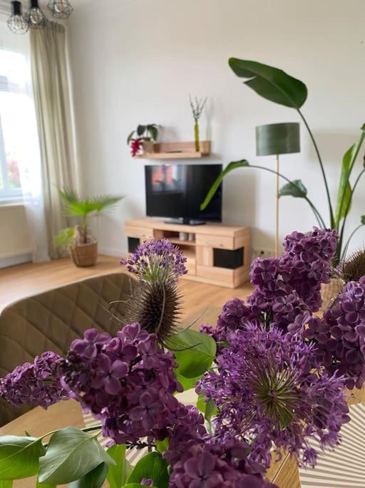 2-Zimmer Zentral In Ferdinandshof, Wlan Modern Εξωτερικό φωτογραφία